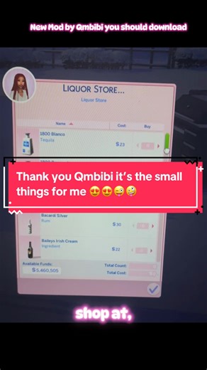 Explore the New Qmbibi Errands Mod for Sims 4