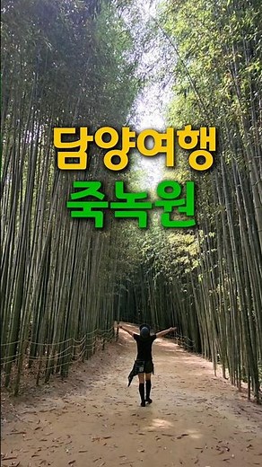 🎋 담양여행 | 죽녹원 대나무숲 산책 Damyang Trip | Walking Through Juknokwon Bamboo Forest