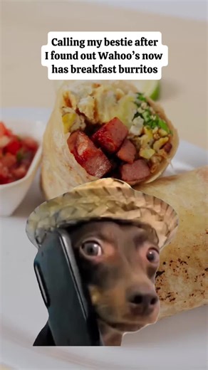 Have you seen the new Aloha Breakfast menu? >> Aloha Breakfast Burrito >> Aloha Breakfast Tacos >> Aloha Breakfast Bowl #wahos #fyp #breakfastburrito