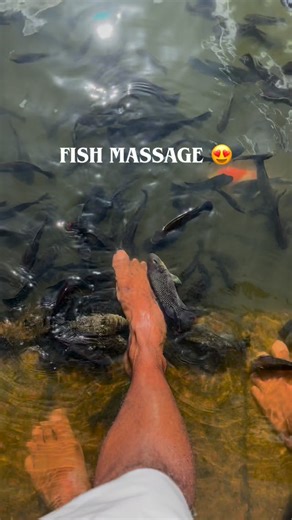 Vishnu Prasad NK on Instagram: "Natural Fish Spa 😍🐠🐟 #fishlovers #fishspa #fishpond #viralreels #spa"