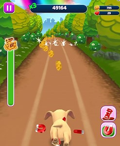 Pet Run Cute Adventure Dash | G Gamer