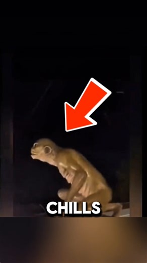 Creepy Frog Creature! 👽