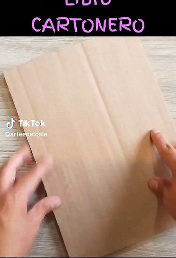 Creación de un Libro Cartonero con Reciclaje