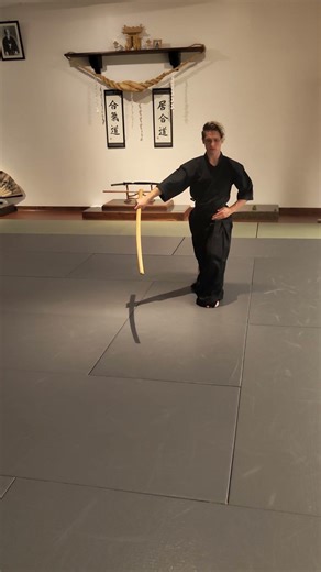 Hidari | Slow and Smooth Bokken Practice #iaido #mjer #martialarts #waza #kata #zen #meditation