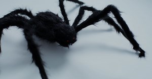 Video by MART  PRODUCTION on Pexels