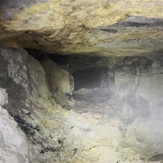 What started as a simple dig quickly turned into one of our most surprising discoveries yet. Beneath the soil, we uncovered a hidden relic from the Prohibition era, a time when secrets were buried as fast as the bottles themselves. This artifact has been waiting nearly 100 years to be found… and the story it tells is wilder than we expected. Join us as we reveal a forgotten piece of America’s underground history 🍾🕵️‍♂️✨ #metaldetecting #prohibition #relics | Adventure Archaeology And Southern 