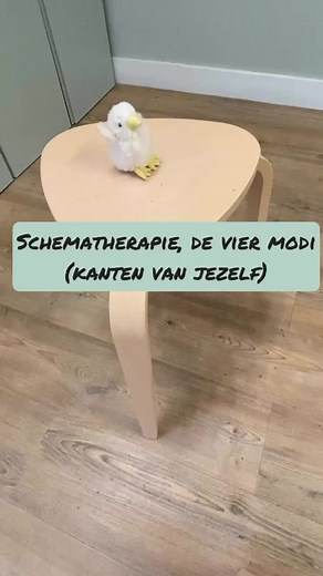 Inzicht in de vier modi van schematherapie