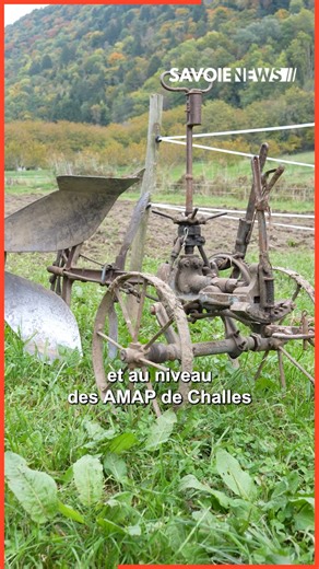 35K views · 303 reactions |  Une nouvelle vie pour la ferme Charpin...