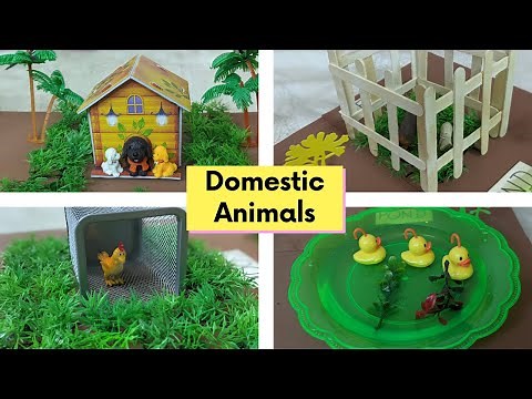 Domestic Animals model | Farm animals model | DIY at home | Kids project