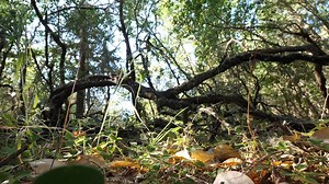 12K views · 487 reactions | Every year 1000's of people get lost - what would you do if you were lost? This isn't about recreation. It's about making it through the night - and living to tell your story...L Watch Survivorman 24 Hours airing this August 28th - only on https://register.smtvnetwork.com/ An SMTVnetwork original | Survivorman - Les Stroud | Facebook