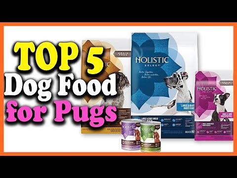 ✅Top 5 Best Dog Food for Pugs Reviews 2025