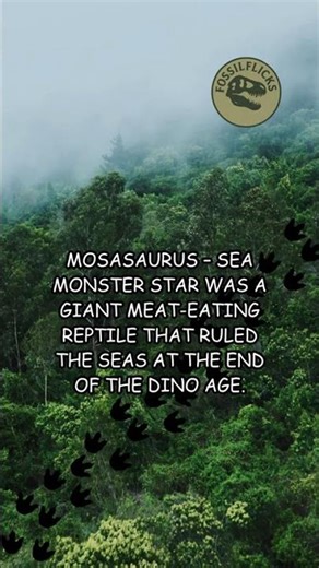 Mosasaurus the Sea Dragon