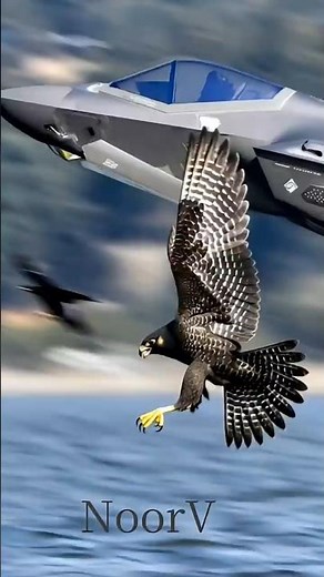 Nature’s Fighter Jet: The Peregrine Falcon vs F-35 Stealth♐ #shorts #eagle