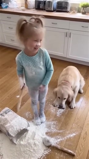 It was the dogs idea! | Trivia Fellowship