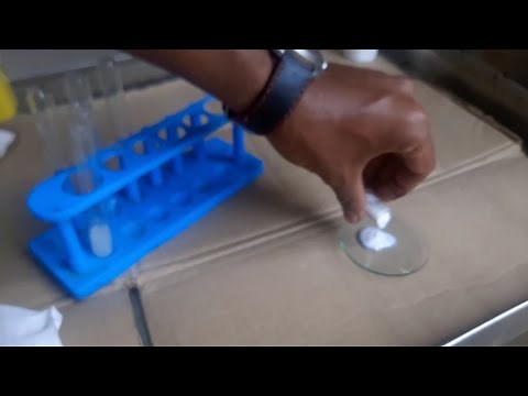 10th Science, Activity 1.8