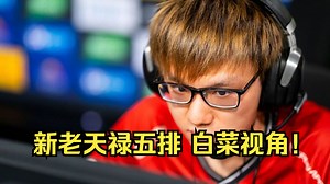 【Attacker白菜视角】新老天禄天梯五排！