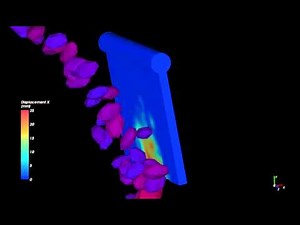 6 Degrees of Freedom Motion - Rocky DEM
