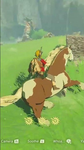 taming a horse in zelda