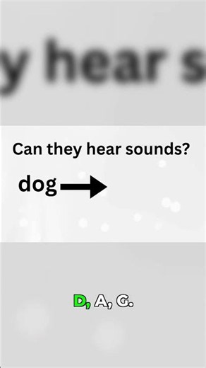 Can Your Child Break Words into Sounds?