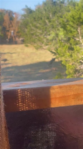 Justin Thompson on Reels