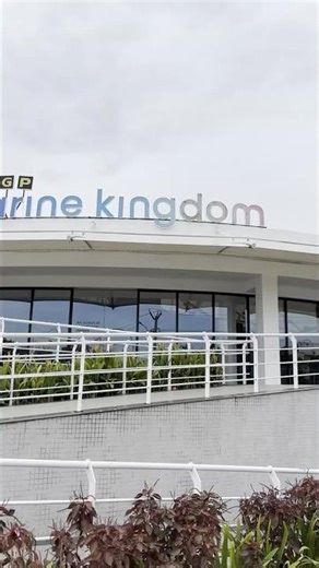 Discover the Wonders of the Deep at VGP Marine Kingdom, Chennai! India🇮🇳