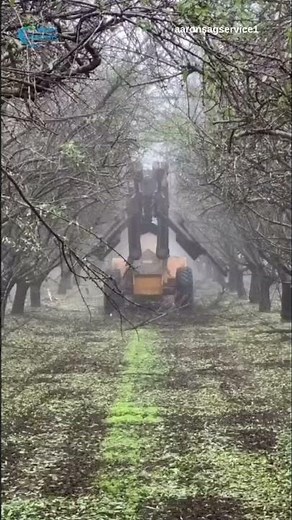 Modern Farming and Harvesting# Advanced Agricultural TechniquesModernFarming #AdvancedAgriculture