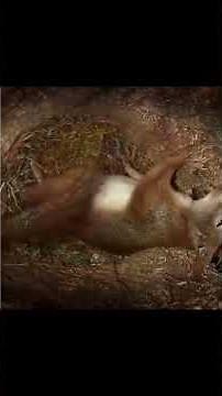 A Mama Squirrel Gives Birth Inside Her Nest — Nature's Purest Moment 🐿️❤️