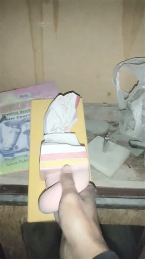 Challenge yourself: which human organ is represented by this model? #earn #human #model #biology