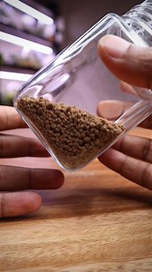 Making a mini terrarium 🌿🍀🍂 #mini #terrarium #moss #scape | The Urban Nemophilist