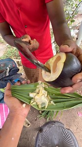 ice Apple with Nungu | Summer Natural Drink | Foodies Fab
