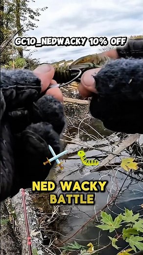 Log Jam Fishing for Bass