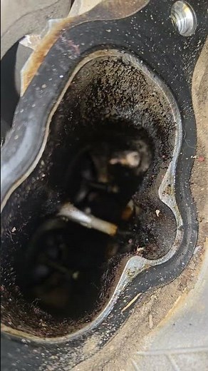 Valve flutter, how'd that get there?