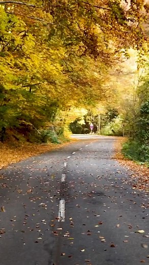 Show off your fall snapshots! 👀 Download the free Atlanta News First alert weather app, submit your photos, and you could be featured on ANF 📺🍁🍂 Check out our fall foliage map in the link in bio! #welovegeorgia #discoverga #georgia #atlanta #fallinatlanta | Atlanta News First