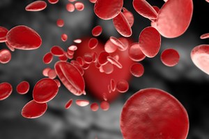Blood types: ESL/EFL Lesson Plan and Worksheet