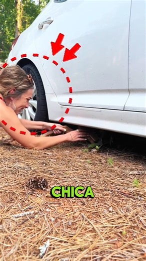 Se encontró una cría de ciervo debajo del coche de esta niña#shorts