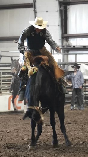 2.9K views · 800 reactions | One enthusiastic dance partner…...