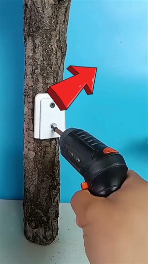 Secure Solar CCTV Camera For Your Security Needs #ytshorts #trendingnow #ecofriendly