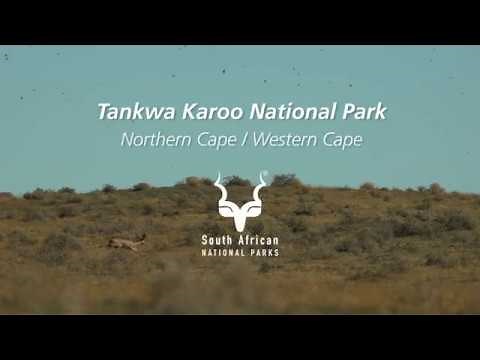 Tankwa Karoo National Park