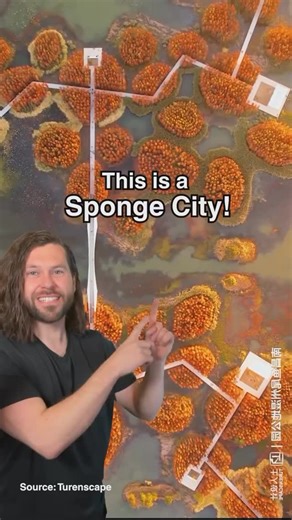 GreenArchitectureNow | ➕ Have you ever heard about Sponge cities?, this can be the best solution for the fighting flooding. Imagine a city that absorbs... | Instagram