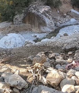 986K views · 5.9K reactions | The Power of the Tribal Mother A Nomadic Woman's Struggle to Gather Firewood with Her Baby | Nomads TV | Facebook