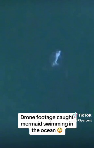 #ocean #scary #mermaid #aliens