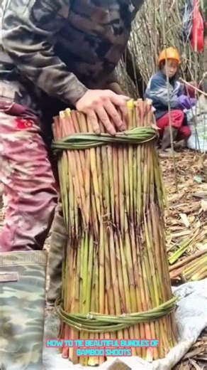 how to tie beautiful bundles of bamboo shoots