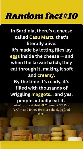 This Cheese Is Filled with Live Maggots 😳🧀