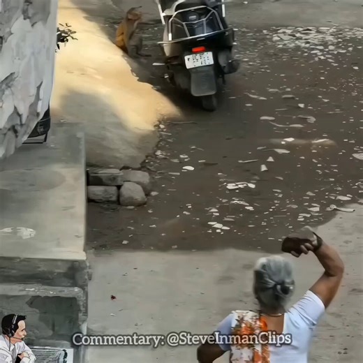 Monkey is done playing games.