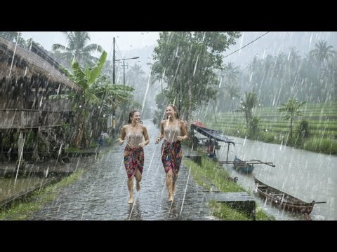 Stormy Night ⛈️ Best Sleep Sounds