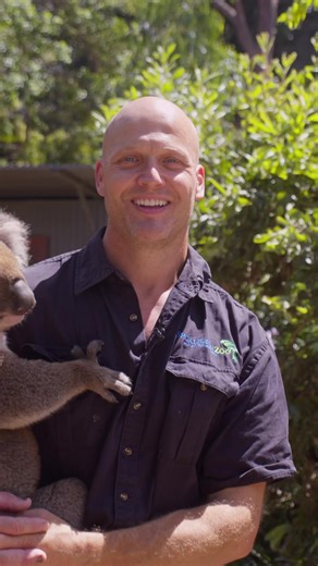 8K views · 93 reactions | Very excited to announce the wrap of another brand new TV commercial! The ad will be distributed by 7 across our local networks Keep an eye out for the Shoalhaven Zoo inbetween your favourite programs  Personally we think we could have our own TV show! Who wouldn’t want to tune in to 30mins of prime time keeper talks every week on the big screen!? #discoveryourwildside | Shoalhaven Zoo | Facebook