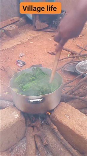 Eish January 2026 how do l cook vegetables pumpkin leaves recipe serving family to eat #me #cooking #food #foodlover #foodie #virals #reelsviral #reel #reels #trend #trendingreels #trendingnow #trending #funny #fun #Amazing #comedy #shorts #fyp #viralpost #viralvideo #fb #followers #follow #followme #family #love #reelsvideo #reelschallenge #reelsfacebook | Gundo Omphulusa Vhaingameli