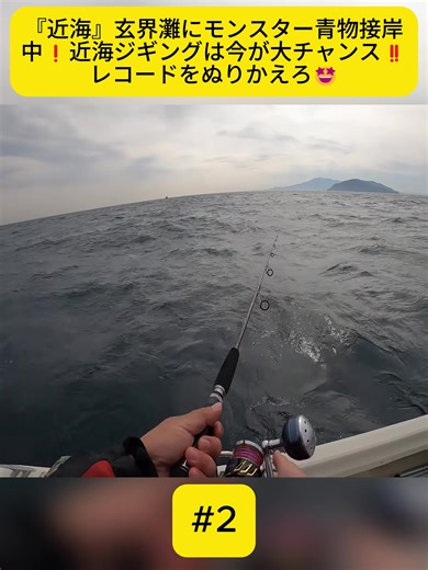 『近海』玄界灘にモンスター青物接岸中❗️近海ジギングは今が大チャンス‼️レコードをぬりかえろ🤩#fyp #videos #foryoupage❤️❤️ #vairal #ドラゴン #fishing #nikatafishing