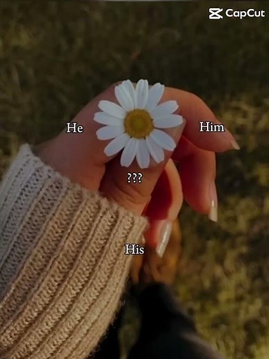 They.. her.. him..