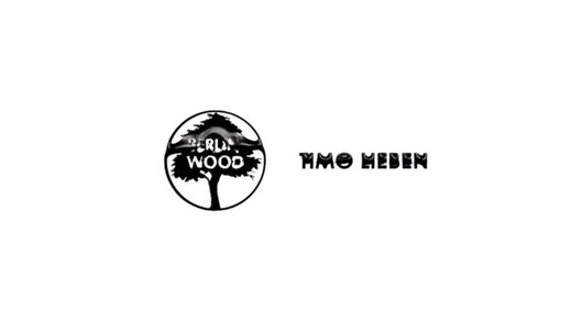 Blackriver Pro Fingerboarding | From Berlin Made of Wood - Timo Lieben Filmed 2024 at the Steig Concrete Playground, Mr Berlinwood himself has Tricks on lock since more... | Instagram